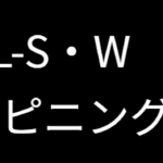 月下美人AIR66L-Sのインプレ