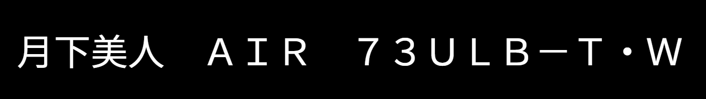 月下美人AIR73ULB-Tのインプレ
